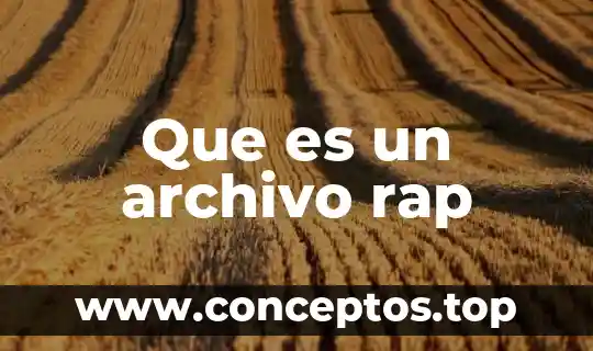 Que es un archivo rap