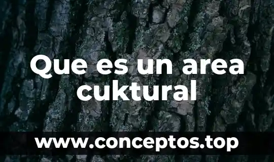 Que es un area cuktural