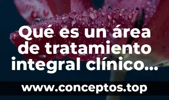 Qué es un área de tratamiento integral clínico definición