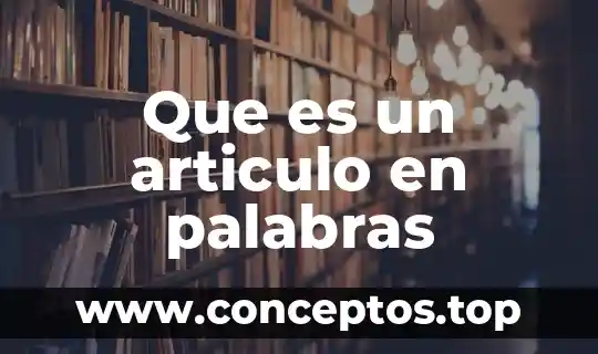 Que es un articulo en palabras