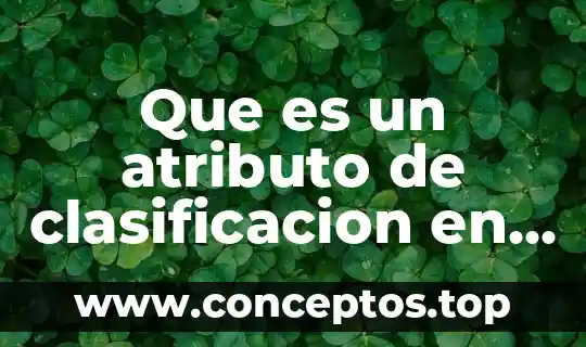 Que es un atributo de clasificacion en sistemas