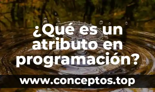 ¿Qué es un atributo en programación?