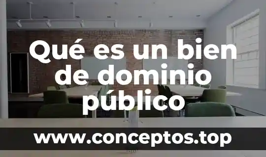 Qué es un bien de dominio público