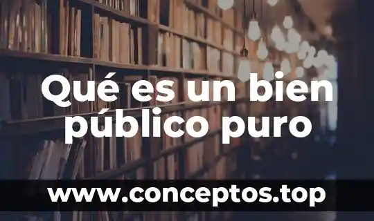 Qué es un bien público puro