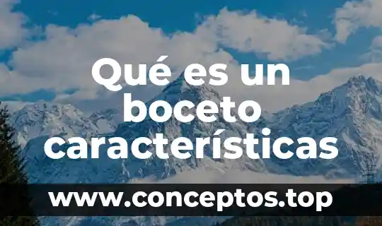 Que es un vendedor y sus caracteristicas 6 Qué es un boceto características