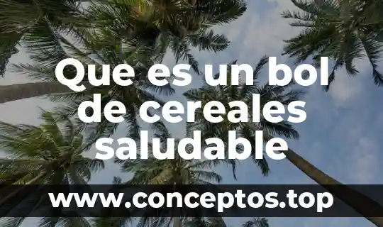 Qué es la alimentación saludable información 8 Que es un bol de cereales saludable