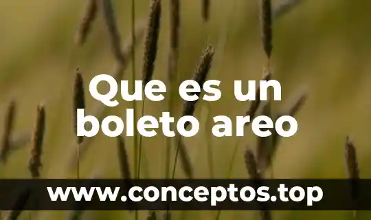Que es un boleto areo