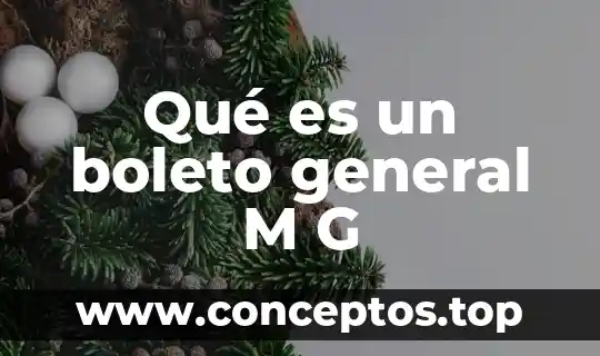 Qué es un boleto general M G