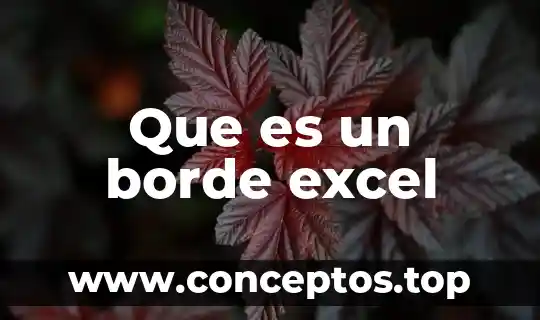 Que es un borde excel