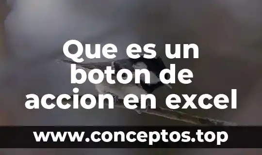Qué es un botón en Flash y sus tipos 4 Que es un boton de accion en excel
