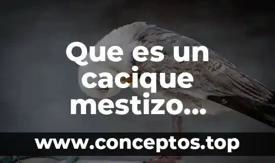 Que es el significado para saussure 4 Que es un cacique mestizo significado