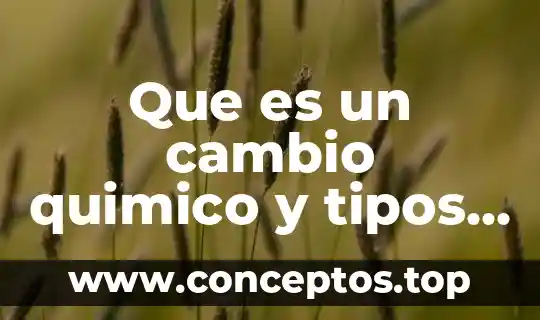 Que es un cambio quimico y tipos de reacciones