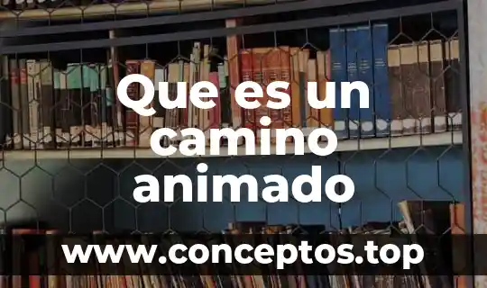 Que es un camino animado