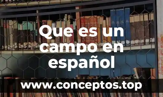 Que es un campo en español