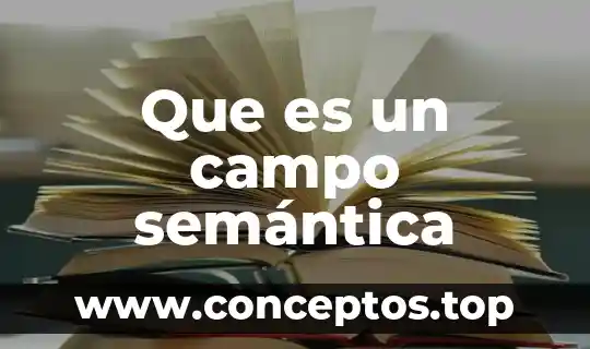 Que es un problema en el campo de la investigacion 5 Que es un campo semántica