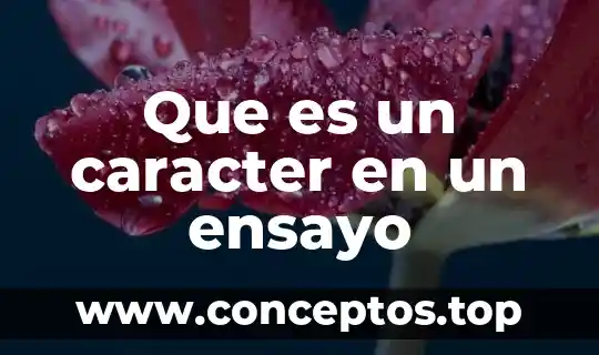 Que es un caracter en un ensayo