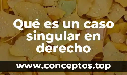 Qué es un caso singular en derecho