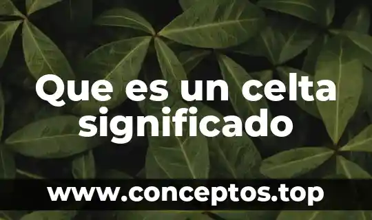 Que es excesivo significado 3 Que es un celta significado