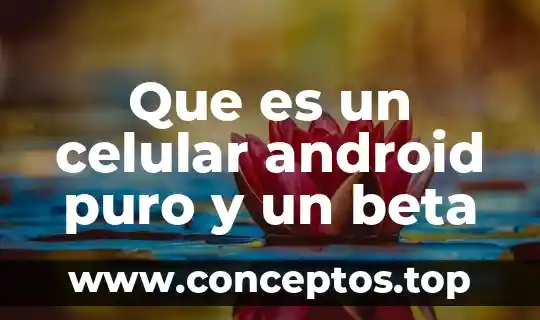 Que es un celular android puro y un beta