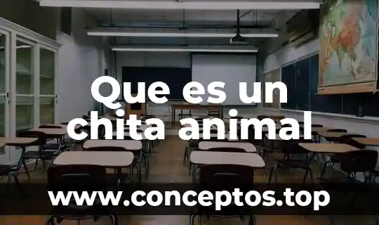 Que es un chita animal