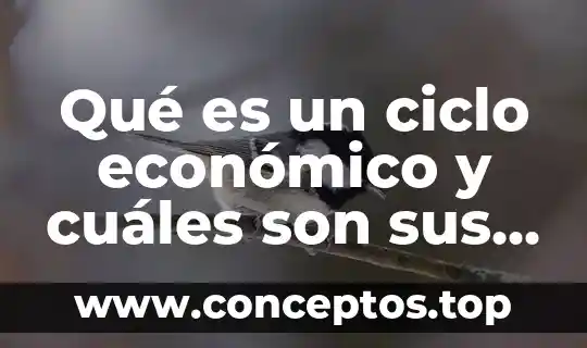 Qué es un ciclo económico y cuáles son sus características