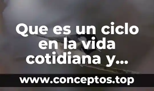 Que es un ciclo en la vida cotidiana y academica