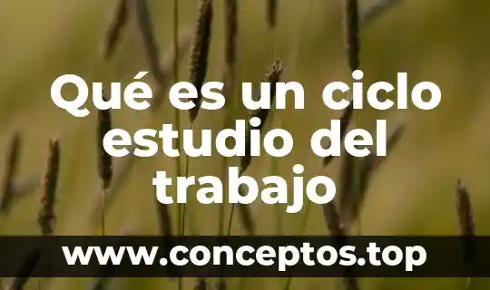Qué es un espacio de trabajo de color 3 Qué es un ciclo estudio del trabajo