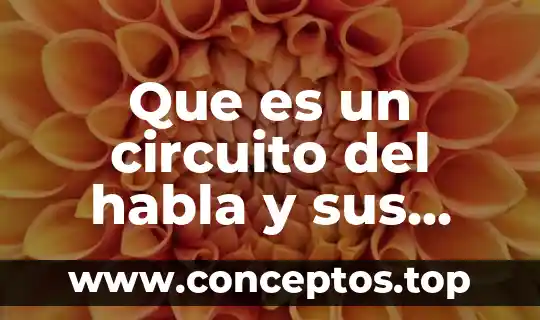 Que es un circuito del habla y sus elementos