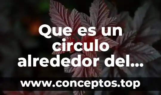 Que es circulo y circunferencia y su estructura 3 Que es un circulo alrededor del sol
