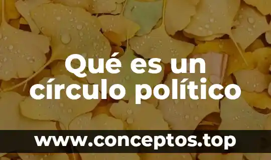 Que es un circulo alrededor del sol 6 Qué es un círculo político