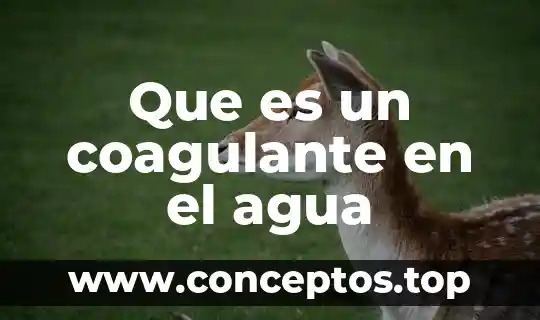 Que es un coagulante en el agua