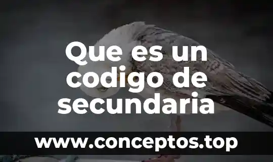 Que es un codigo de secundaria