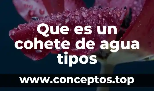 Que es un cohete de agua tipos