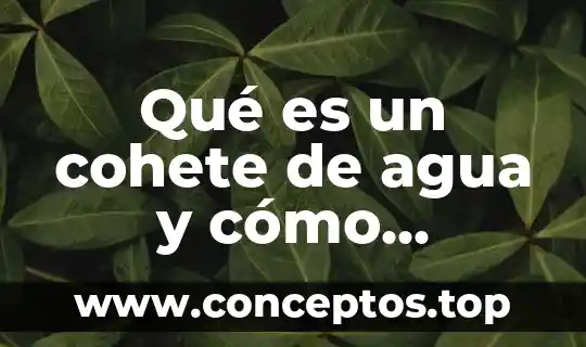 Qué es y cómo funciona un inhibidor de señal 5 Qué es un cohete de agua y cómo funciona