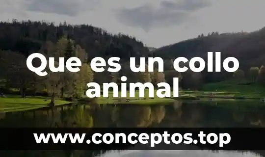 Que es solemnes significado biblico 8 Que es un collo animal