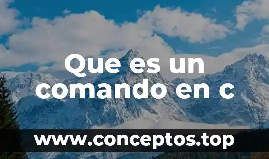La vitamina c para que es 3 Que es un comando en c