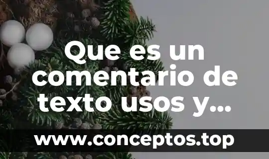 Que es un comentario de texto usos y pasos