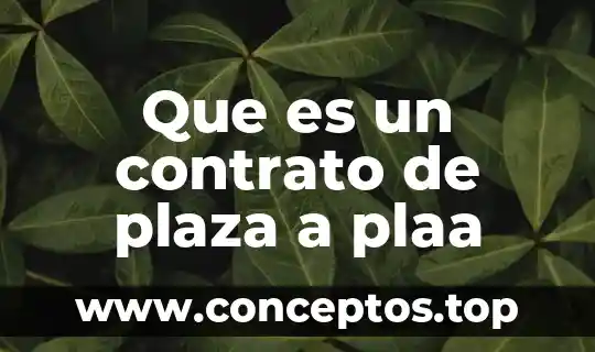 Que es un contrato de plaza a plaa
