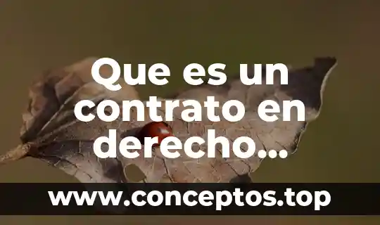 Que es un contrato en derecho administrativo