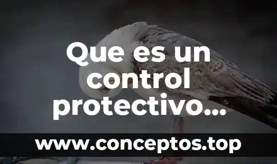 Que es el control de calidad del agua grado reactivo 3 Que es un control protectivo preventivo y reactivo