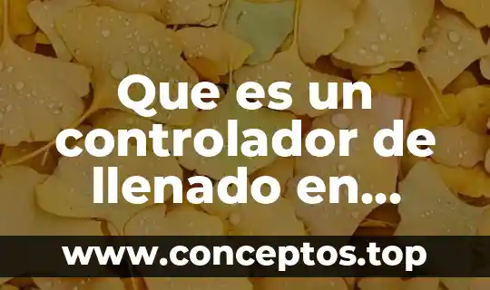 Que es un controlador de llenado en excel
