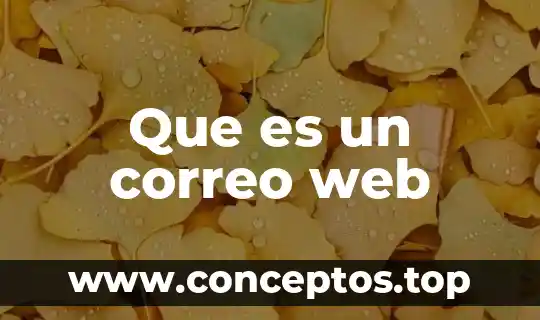 Servidor de correo electrónico entrante que es que significa 7 Que es un correo web