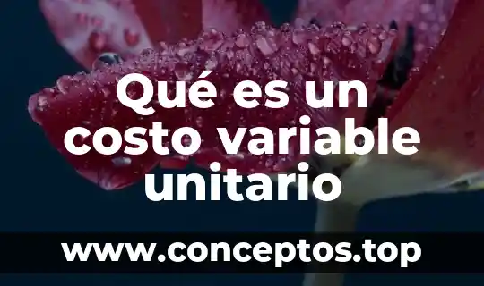 Qué es un costo variable unitario