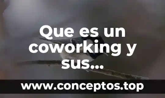 Que es el simbolismo y sus caracteristicas 4 Que es un coworking y sus caracteristicas