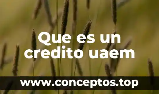 Que es un credito uaem