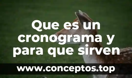 Que es un cronograma y para que sirven