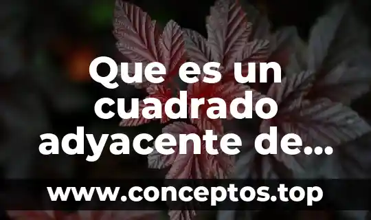 Que es un cuadrado adyacente de un traiangulo