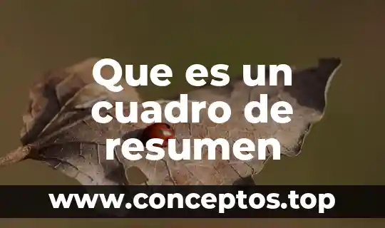 Que es un cuadro de resumen