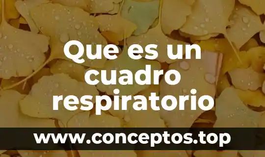 Que es un cuadro respiratorio