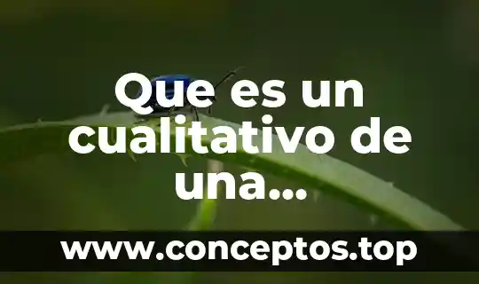 Que es un cualitativo de una contabilidad
